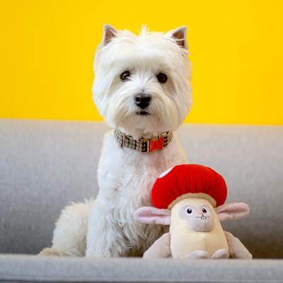 Show full view: Fikas Freaky Friends Mushroom Bunny Squeaky Emotional Support Plush Dog Toy, Red/Grey/White slide 2 of 6