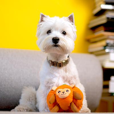 Show full view: Fikas Freaky Friends Pumpkin Monkey Squeaky Emotional Support Plush Dog Toy, Orange/Brown slide 2 of 6