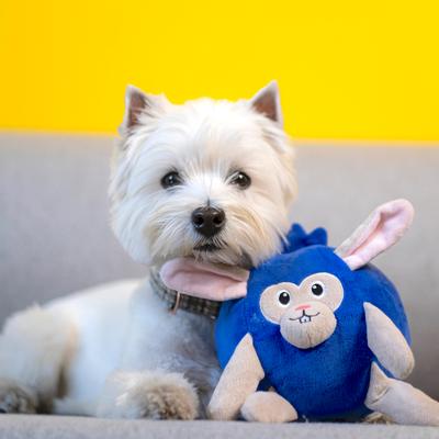 Show full view: Fikas Freaky Friends Blueberry Bunny Squeaky Emotional Support Plush Dog Toy, Blue/Grey slide 2 of 5