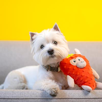 Show full view: Fikas Freaky Friends Strawberry Bunny Squeaky Emotional Support Plush Dog Toy, Red/Grey slide 3 of 6