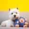 Show in main carousel: Fikas Freaky Friends Blueberry Pig Squeaky Emotional Support Plush Dog Toy, Blue/Pink slide 3 of 7