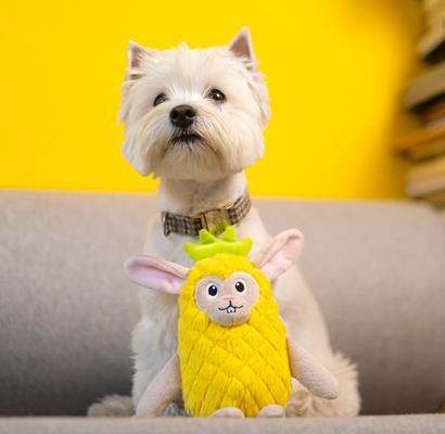 Show full view: Fikas Freaky Friends Pineapple Bunny Squeaky Emotional Support Plush Dog Toy, Yellow/Grey slide 2 of 5