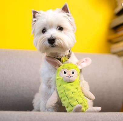 Show full view: Fikas Freaky Friends Pickle Bunny Squeaky Emotional Support Plush Dog Toy, Green/Grey slide 3 of 7