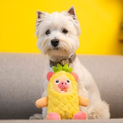 Fikas Freaky Friends Pineapple Pig Squeaky Emotional Support Plush Dog Toy, Yellow/Pink slide 2 of 5