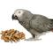 Show in main carousel: Birdology Sola Stick with Skin Bird Toy, 2-in, 1 count slide 2 of 4