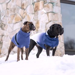 GF Pet Good Vibes Solid Dog Hoodie, Blue, Small slide 2 of 6