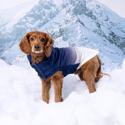 GF Pet Good Vibes Solid Dog Hoodie, Blue, X-Large