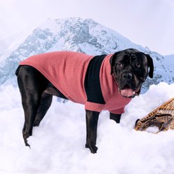 GF Pet Catalyst Solid Dog Sweater, Pink, XXXX-Large