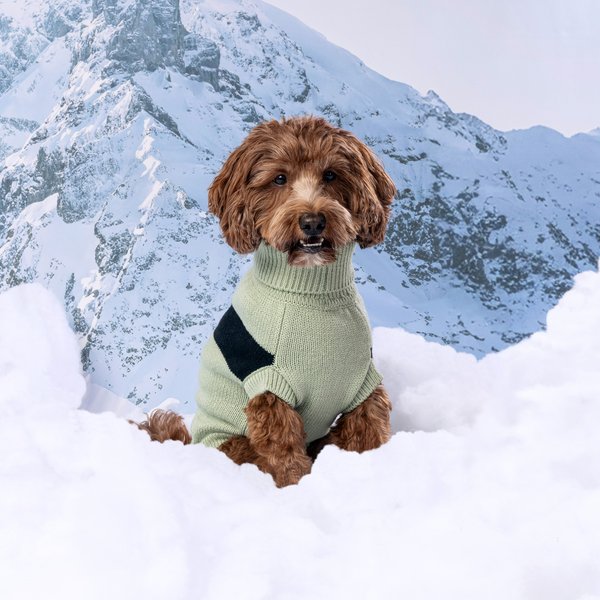 Show full view: GF Pet Catalyst Solid Dog Sweater, Green, XXXX-Large slide 1 of 7