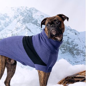 GF Pet Catalyst Solid Dog Sweater, Blue, Medium