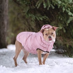 GF Pet Lunar Glow Solid Dog Parka, Pink, XX-Large slide 2 of 7