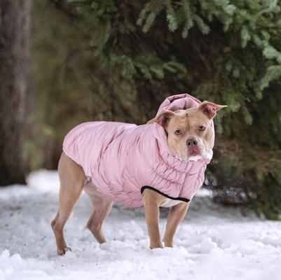 Show full view: GF Pet Lunar Glow Solid Dog Parka, Pink, Large slide 6 of 9