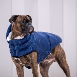 GF Pet Lunar Glow Solid Dog Parka, Blue, XXXX-Large slide 2 of 5