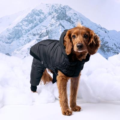 Show full view: GF Pet Odyssey Dog Snowsuit, Black, Medium slide 6 of 7
