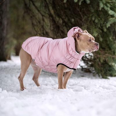 Show full view: GF Pet Lunar Glow Solid Dog Parka, Pink, Large slide 7 of 9