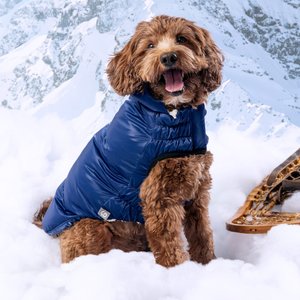 GF Pet Lunar Glow Solid Dog Parka, Blue, XXXX-Large
