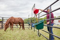 Tarter Portable Gate Horse, Cattle & Small Animal Feeder, Large: 15-gal slide 2 of 5
