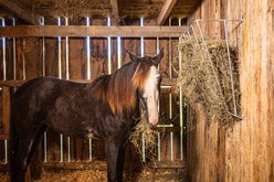 Tarter 3 Flake Wall Mount Galvanized Horse Manger Hay Feeder slide 2 of 3