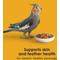 Show in main carousel: Kaytee Forti-Diet Pro Health Egg-Cite! Nourish+Protect Cockatiel Food, 5-lb bag slide 7 of 10