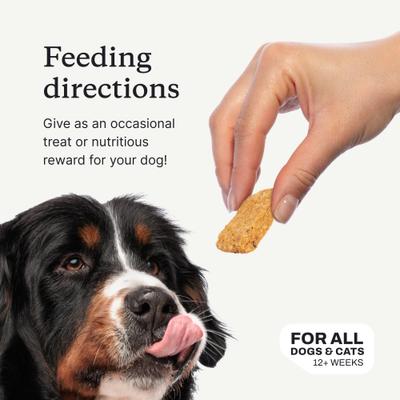 Show full view: PetLab Co. Salmon Bites Dog Treats, 3-oz bag slide 7 of 10