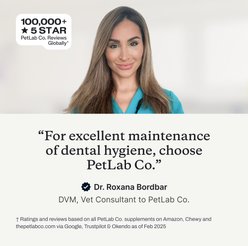 PetLab Co. Prebiotic Dental Sticks Dog Dental Chews, 24 count slide 2 of 8