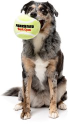 FuzzYard Tennis Ball Squeaky Plush Dog Toy, Yellow slide 2 of 4