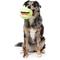 Show in main carousel: FuzzYard Tennis Ball Squeaky Plush Dog Toy, Yellow slide 3 of 4