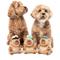 Show in main carousel: FuzzYard CAP-YBARA Squeaky Plush Dog Toy, Brown slide 7 of 7