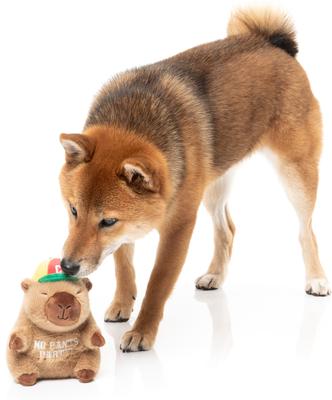 Show full view: FuzzYard CAP-YBARA Squeaky Plush Dog Toy, Brown slide 6 of 7