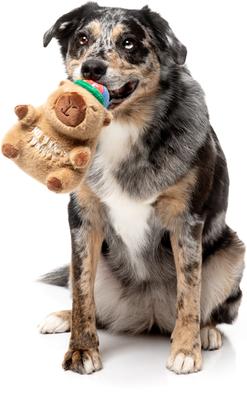 Show full view: FuzzYard CAP-YBARA Squeaky Plush Dog Toy, Brown slide 4 of 7