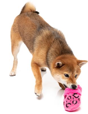 Show full view: FuzzYard Angel Slipper Squeaky Plush Dog Toy, Pink slide 4 of 5