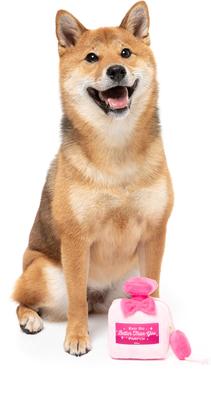 Show full view: FuzzYard Better Than You Parfum Squeaky Plush Dog Toy, Pink slide 3 of 5