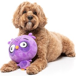 FuzzYard Hoo-Dini Squeaky Plush Dog Toy, Purple slide 2 of 5