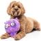 Show in main carousel: FuzzYard Hoo-Dini Squeaky Plush Dog Toy, Purple slide 3 of 5