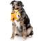 Show in main carousel: FuzzYard Roarnaldo Squeaky Plush Dog Toy, Orange slide 3 of 6