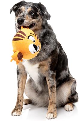 Show full view: FuzzYard Roarnaldo Squeaky Plush Dog Toy, Orange slide 3 of 6