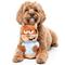 Show in main carousel: FuzzYard Telemarketer Tom Squeaky Plush Dog Toy, Blue slide 4 of 6