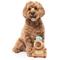 Show in main carousel: FuzzYard CAPY-CCINO Squeaky Plush Dog Toy, Brown slide 3 of 5