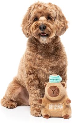Show full view: FuzzYard CAPY-CCINO Squeaky Plush Dog Toy, Brown slide 3 of 5