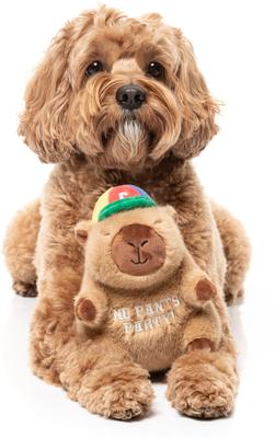 Show full view: FuzzYard CAP-YBARA Squeaky Plush Dog Toy, Brown slide 5 of 7