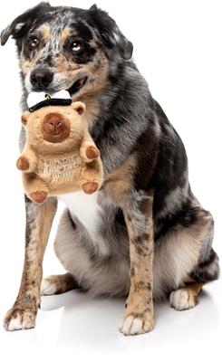 Show full view: FuzzYard CAPY-TAIN Squeaky Plush Dog Toy, Brown slide 4 of 6