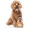 Show in main carousel: FuzzYard CAPY-TAIN Squeaky Plush Dog Toy, Brown slide 5 of 6