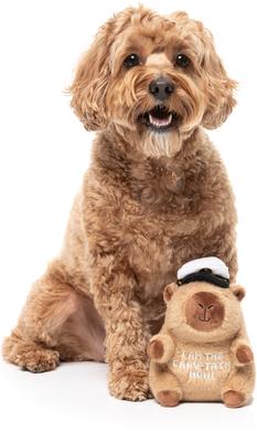 Show full view: FuzzYard CAPY-TAIN Squeaky Plush Dog Toy, Brown slide 5 of 6