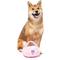 Show in main carousel: FuzzYard Portable Cd Player Squeaky Plush Dog Toy, Pink slide 3 of 5