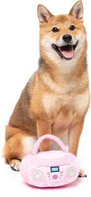 Show full view: FuzzYard Portable Cd Player Squeaky Plush Dog Toy, Pink slide 3 of 5