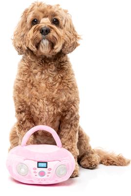 Show full view: FuzzYard Portable Cd Player Squeaky Plush Dog Toy, Pink slide 4 of 5