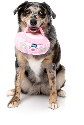 Show full view: FuzzYard Portable Cd Player Squeaky Plush Dog Toy, Pink slide 2 of 5