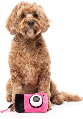 Show full view: FuzzYard Digicam Squeaky Plush Dog Toy, Pink slide 3 of 5