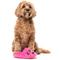 Show in main carousel: FuzzYard Angel Slipper Squeaky Plush Dog Toy, Pink slide 3 of 5