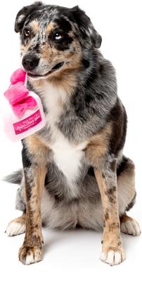 Show full view: FuzzYard Better Than You Parfum Squeaky Plush Dog Toy, Pink slide 2 of 5